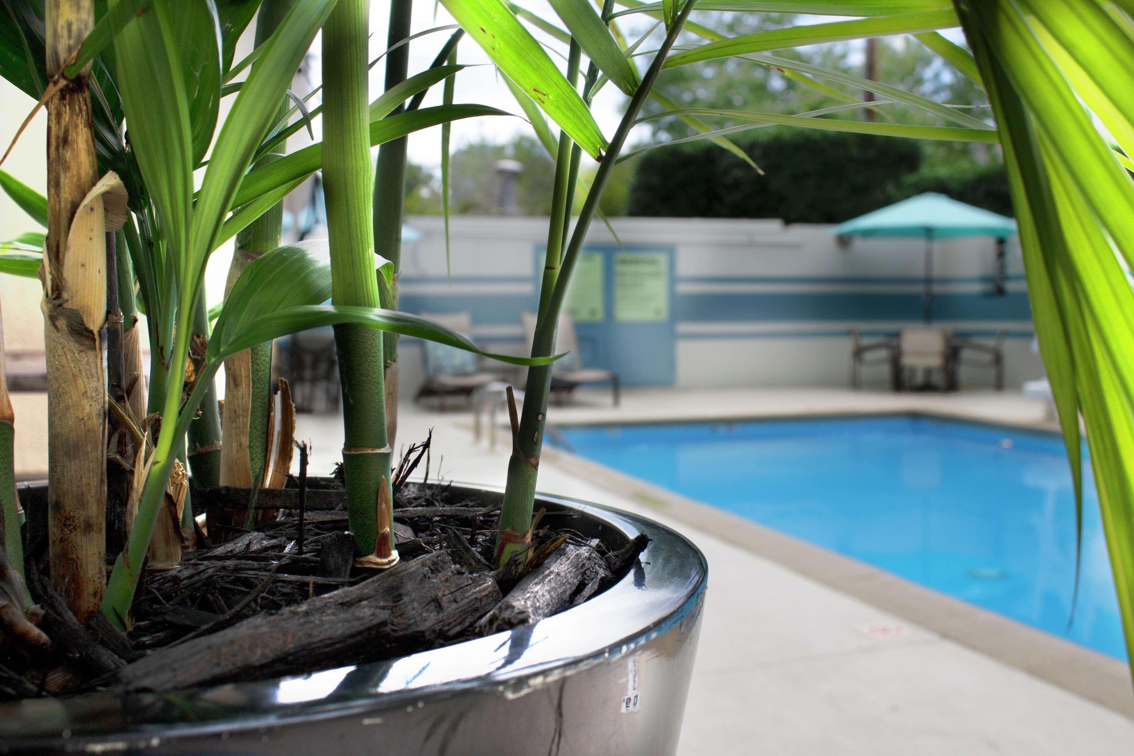 Doubletree By Hilton Charlotte Uptown Hotel Ngoại thất bức ảnh